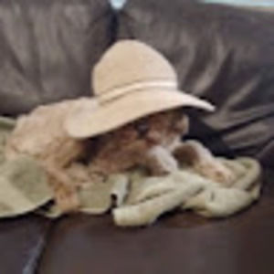 Meet your Posher, Lisa